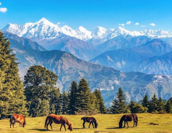 Discovering Munsiyari: The Hidden Gem of Uttarakhand