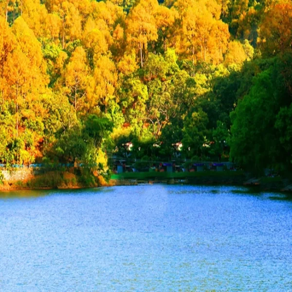 Sattal Lake: A Tranquil Haven in the Himalayas